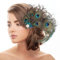Pfau Kopfschmuck Haarspange,Pfau Haarschmuck,Feder Haarschmuck mit Strassbesatz,Pfauenfeder Haarreif,Karneval Kopfschmuck Damen,Pfau Kostüm für Carnival, Fancy Dress,Themenparty