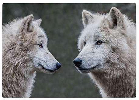 Wolf Black White Grey Kitchen Worktop Protector Saver Glass Chopping Board