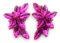 Pendientes largos grandes mujer bisutería alta gama cristales de colores espectaculares fiesta boda, fucsia claro