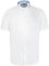 D555 Men's Plus Size James Basic Oxford Short Sleeve Shirt in White 4XL