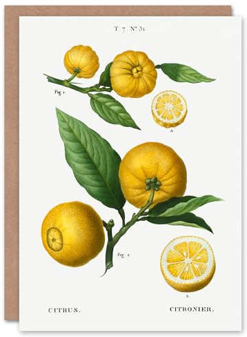 Artery8 Pierre-Joseph Redouté Art Card Clusters of Citrus Fruit