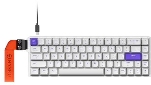 Hexgears HK-K22 Gaming Keyboard with Hall Effect Magnetic Switch, Rapid Fast Magnetic Keyboard with Adjustable Trigger, 8000Hz Polling, RGB Backlit 65% Compact Keyboard Design for PC(White)