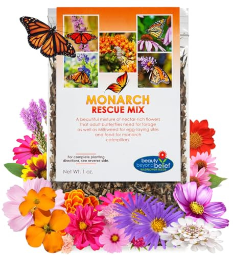 BBB Seed Monarch Butterfly Wildflower Seeds, Milkweed Mix, Non-GMO 1 oz
