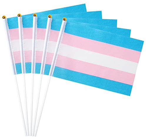 GentleGirl 12 Stück Transgender Pride Regenbogenflaggen Transgender Trans Kleine Mini Handflagge Gay LGBT Festival Party Paraden Dekorationen
