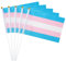 GentleGirl 12 Stück Transgender Pride Regenbogenflaggen Transgender Trans Kleine Mini Handflagge Gay LGBT Festival Party Paraden Dekorationen