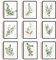 SUPERDANT 9 PCS/Set Leinwanddrucke Eukalyptus Pflanze Leinwand Kunst Grüne Malerei Dekorative Wandkunst Bilder Für Büro Wanddekoration 25x20cm (Kein Rahmen)