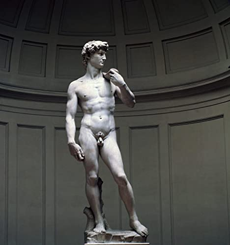 EfeMir Berühmte Gemälde Poster Und Drucke Abstraktes Gemälde Michelangelo David Von Michelangelo Buonarroti für Schlafzimmer Home Decor 60x90cm