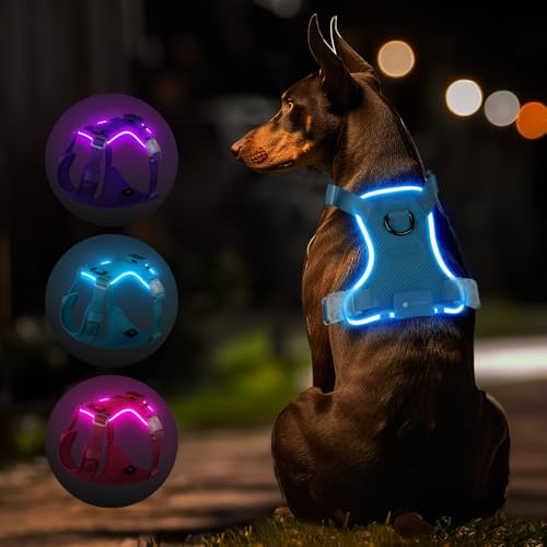 MASBRILL Hundegeschirr Leuchtend, LED Hundegeschirr Aufladbar & Einstellbar für Welpen Kleiner Mittlerer Große Hund, 3 Beleuchtungsmodi, Atmungsaktiv Leucht Geschirr für Nachtspaziergänge (Blau M)