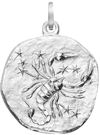 trendor Sternzeichen Skorpion 925 Silber Anhänger Ø 16 mm 21218-11 | Skorpion-Sternzeichen aus Sterlingsilber rhodiniert, Tierkreiszeichen-Anhänger, Silber-Symbolschmuck für Frauen und Männer