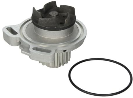 Hepu P527 Wasserpumpe