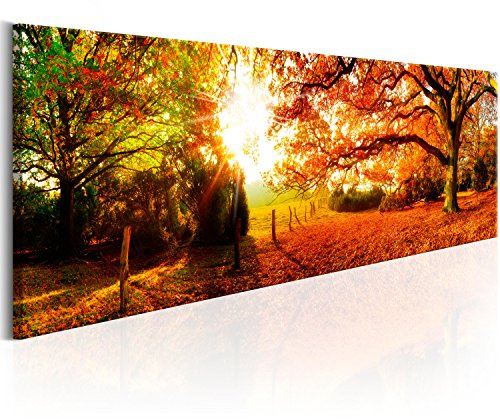 B&D XXL - Leinwandbild Panorama Baum Herbst, 120x40 cm, 1-teilig, modern | Hochwertige Leinwand, sofort aufhängbar, ideal fürs Wohn- oder Schlafzimmer, wasserfest und lichtecht, langlebig, stilvoll