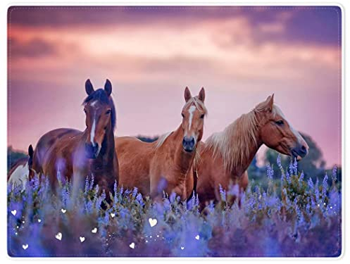 Violetpos 150 x 200 cm Flanell Decke Weich Fleecedecke Kuscheldecken SanftBettüberwurf Lila Lavendel 3 Pferde Sonnenuntergang