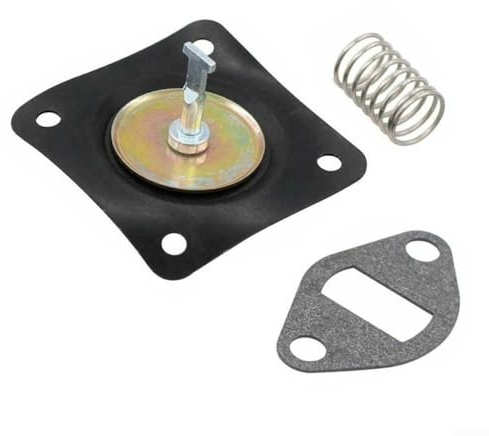 Zoegneer Hochleistungs-Kraftstoffpumpen-Reparatursatz mit Feder, kompatibel mit Kraftstoffpumpe 230675