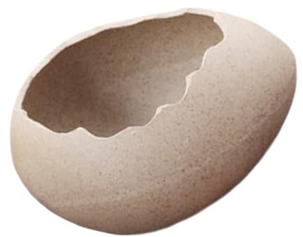 HOMOCONO Hydroponic Decorative Vase Food Bowl Household Decorative Eggshell Food Dish Organizer Bowl Food Storage Tray Food Serving Bowl Eggshell Shaped Bowl Dried Fruit Bowl Dry Fruit Bowl