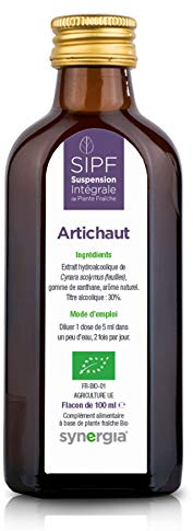 ARTICHAUT Bio Français 100 ml | Solution Buvable De Plantes Fraîches pour Détoxifier Naturellement le Foie | Origine France Certifiée Certifié AB | Formule 100% Naturelle | Laboratoire SYNERGIA