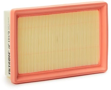 FILTRON AP 133/9 Filtro aria motore Cartuccia filtro