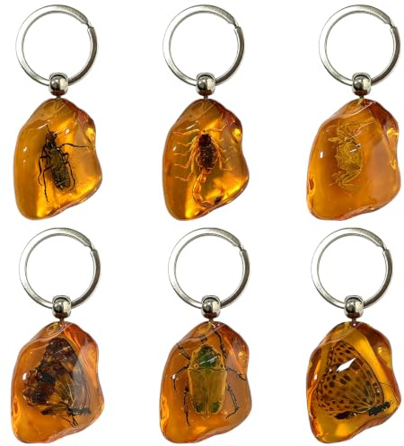 VEINARDYL Lot de 12/6 porte-clés en forme d'insecte et de fossiles en résine, Grand - 6 pièces