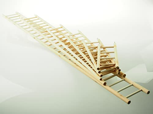 Rackcrafts. com Escabeau en bois Craft gteau Décoration de fête de mariage pour animal domestique Oiseau Parrot 12 (3.5W)