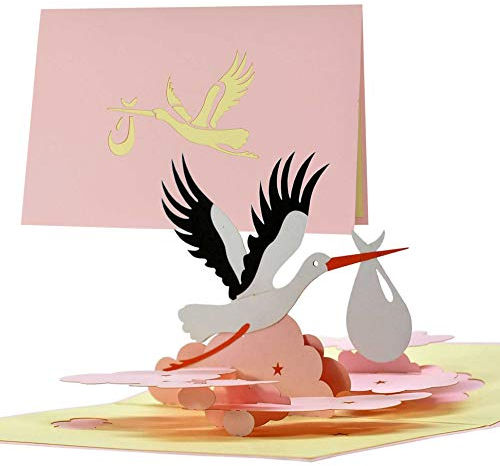Karte zur Geburt Mädchen|Glückwunschkarte Geburt mit Pop up Vogel Storch für Mama und Papa|Gutschein Geschenk zur Geburt von Tochter Enkelin|G23.3