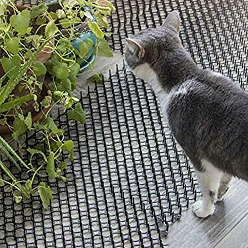 Plant Cat Repellent Indoor Outdoor, Kitchen Counter Sofa Cat Scat Mat 13 × 16, Cat Deterrent for Basement Garden Flower Bed Vegetable Patch (Size : 1 pc)