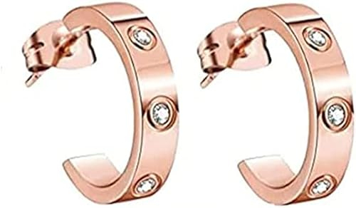 Earacupressure Magnetherapie Detoxi Ohrringe Magnetische Lymphdrainage Ohrringe für Damen Herren, Metall