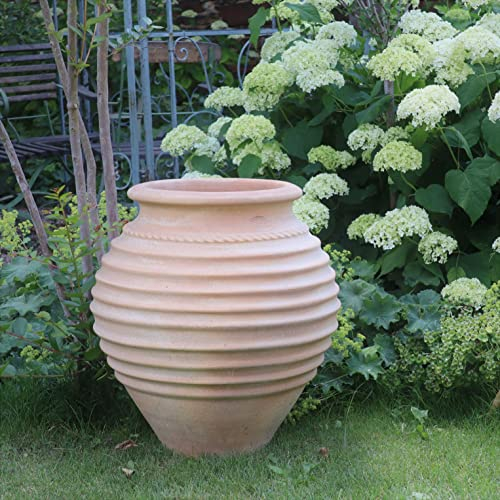 Kreta Keramik | Mediterranean amphora | 60 cm | frostproof | bulbous planter for inside and outside, garden terrace decoration, ficus