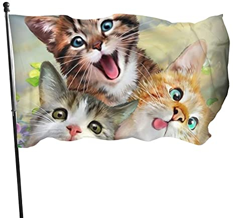 Bannerfahnen Lustiger Gruppen Katzen Blumen Schmetterling Sommer Flaggen Durable Dekorative Fahnen Lustige Außenbanner, Für Partys, Feiertage