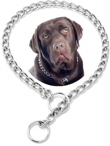 Kette Choke Halsband für Hunde, Silber XS Metall Slip Link Training Heavy Duty Hund Choker Halsband Martingale Welpenhalsbänder für XXS XS Small Medium Large Big XL Rasse Hunde