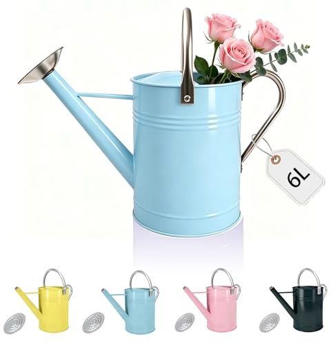 Arrosoir décoratif bleu de 6 litres avec bec amovible, arrosoir galvanisé pour plantes d'intérieur et d'extérieur, arrosoir en métal parfait pour plantes d'intérieur et fleurs de jardin