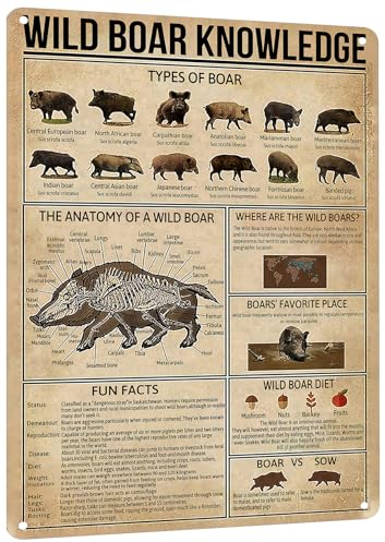 HYBLOM Vintage Wildschwein-Wissens-Metallschild – rustikales Bauernhaus-Dekor-Blechschild, pädagogisches Jagd-Poster für Männerhöhle, Club, Haus und Hof, Wanddekoration, 30,5 x 40,6 cm