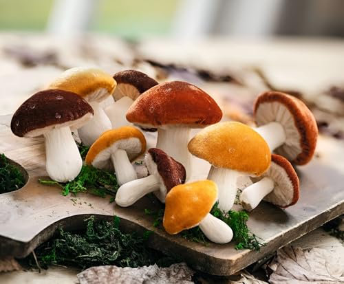 Dekoleidenschaft 10x Dekopilz Samt Dekofigur Pilz Ø 5-8 cm, Pilzset, Herbstdeko, Pilzdeko