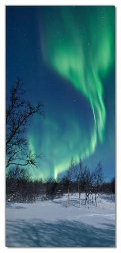 Wallario Selbstklebende Türtapete Polarlicht in Schweden - Türposter 93 x 205 cm Abwischbar, rückstandsfrei zu entfernen