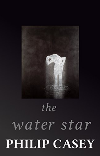 The Water Star (The Bann River Trilogy Book 2) (English Edition)