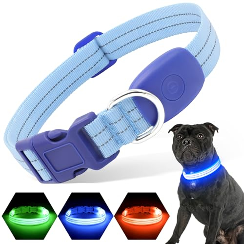 PZRLit LED Hundehalsband – Leuchthalsband Hund Verstellbar, Reflektierendes & Wasserdichtes Hundehalsband, USB Aufladbares Sicherheitshalsband für Kleine Mittel Große Hunde, Halsbänder