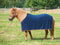 BUSSE Abschwitzdecke WAVE