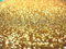 Ultra Fine Gold Glitter 50g