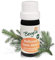 Bergila Ätherisches Öl Weißtanne (abies alba) Bio, 10 ml - aus 100% natürlichen, biologischen Rohstoffen - kontrollierte und zertifizierte Qualität aus Südtirol