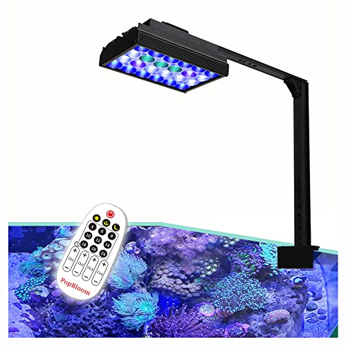 PopBloom RL60 LED Aquarium LED Beleuchtung, Vollspektrum Aquarium Lampe, Salzwasser Aquarienbeleuchtung mit WiFi-Steuerung für Korallen, Riffe Meerwasser Aquarium Tank (60W RL60 Schwarz)