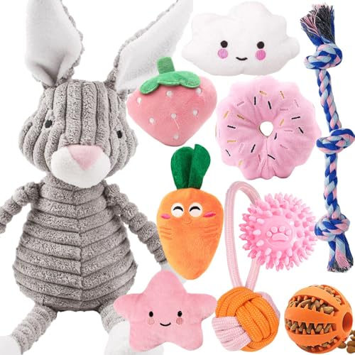 10Pcs Hundespielzeug für Kleine Hunde, Quietschende Plüsch Hundespielzeug Set, Welpe Zahnen Spielzeug Seil Ball, Unzerstörbar Hund Kauspielzeug, Hundespielzeug Geschenk für Kleine Mittlere Hunde