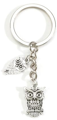 Eule Schlüsselanhänger Süßer Schlüsselanhänger Eule mit Gravur Freundschaft und Liebe Glücksbringer Lesen Geschenke für Buchliebhaber Silber aus Metall