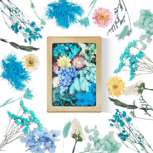 Trockenblumen zum Basteln Trockenblumens Klein Natürliche Getrocknete Blumen Dried Flowers Trockenblumen Bunt Trocken Blumen Trockenblume für Kerzen Deko DIY Scrapbooking (Blau)