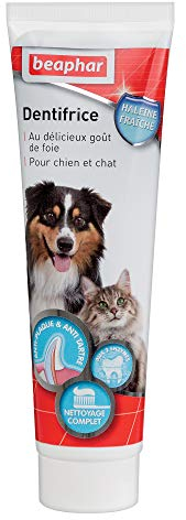 Beaphar – Dentifrice haleine fraîche pour Chien et Chat – Très appétant – sans rinçage – Élimine la Plaque Dentaire – Empêche la Formation de tartre – Combat la Mauvaise haleine – Tube de 100 g