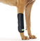 RockPet Gelenkbandage für das Vorderbein ihres Hundes (L/XL)