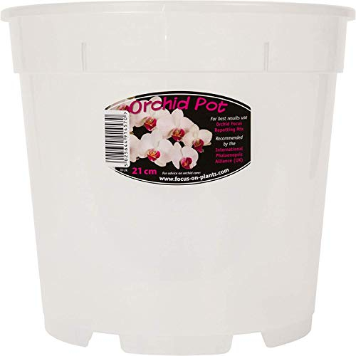 3X Clear Orchid Pot - White 21cm