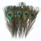 Bene Omnia Plumas de pavo real naturales, plumas de ojo verde, decoración de boda, Navidad, Halloween, proyectos de manualidades (40-50 cm, 10 piezas)