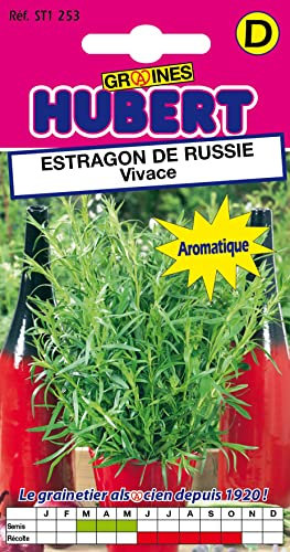 Graines d'Estragon de Russie Vivace - 0,1 gramme