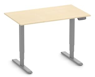 Ergolutions® Primus Schreibtisch, Gestell Grau, Tischplatte 1200 x 700 x 19 mm Birke - Elektrisch Verstellbarer Standing-Desk, 125kg Tragkraft, Memory-Funktion, leise, Kabelmanagement