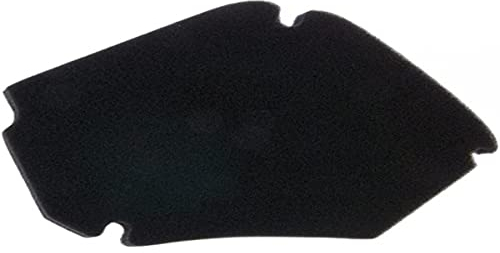 Filtro dell' aria per Gilera Easy Moving, Piaggio Zip base, Fast Rider