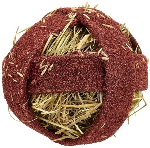 Quiko Fitness Foodball Rote Beete 100g - Snack und Spielspaß für alle Nager | Snack und Spielspaß für alle Nager