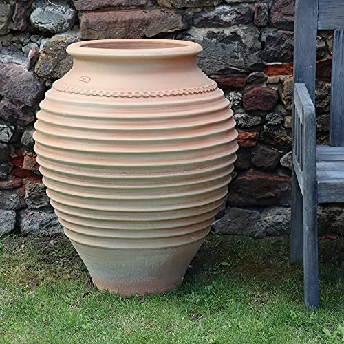 Kreta-Keramik, 80cm große standfeste terrakotta Amphore absolut frostfest witterungsbeständig Garten Außenbereich, mediterrane Deko, Ficus